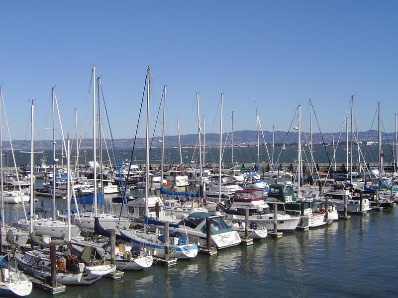 a marina full of sailing yachts and catamarans