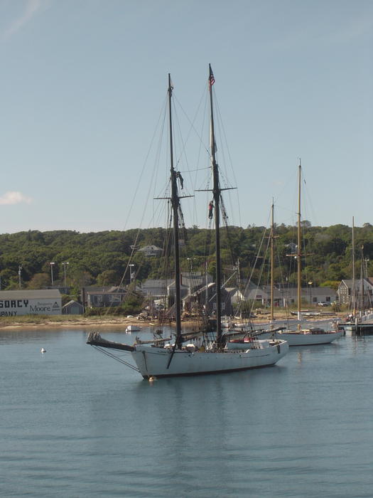 boats in a small town harbour