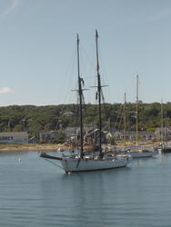 724-boats_in_the_harbor01313.jpg