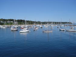 725-boats in the harbour