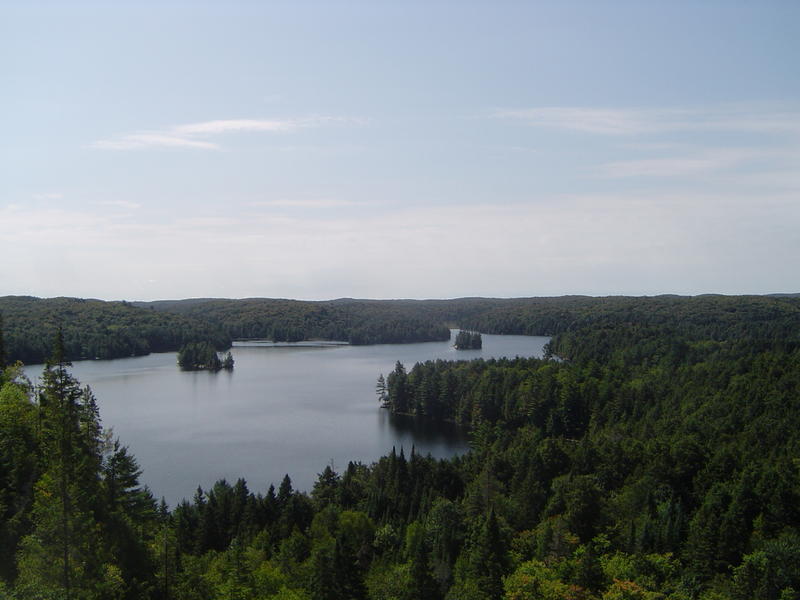 view of Cache Lake, Algonquin Provincial Park, Canada