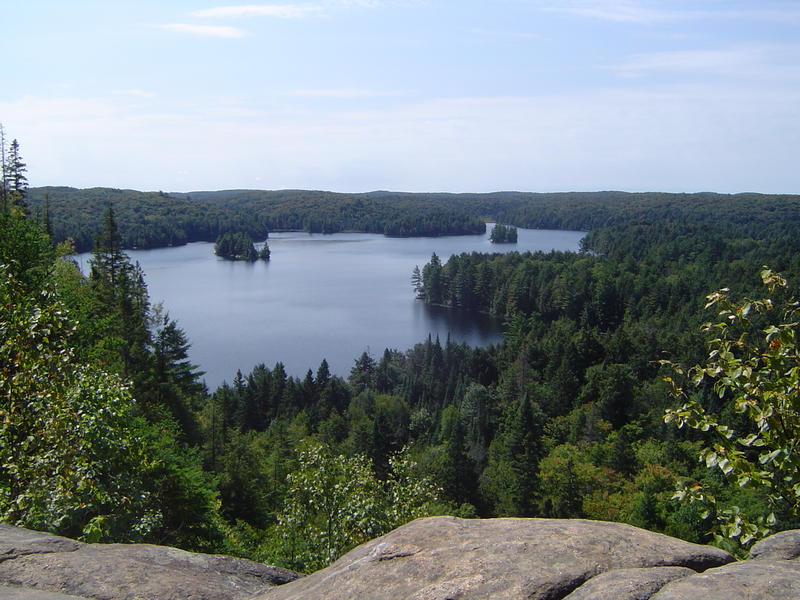 view of Cache Lake, Algonquin Provincial Park, Canada