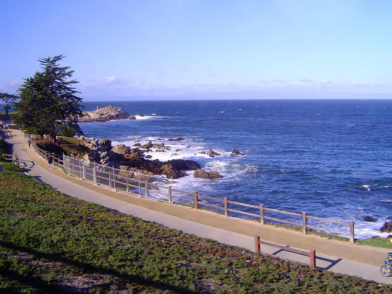 waves breaking on the california coast