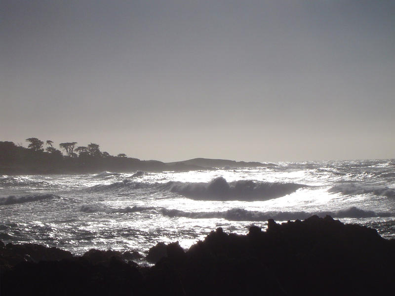 waves breaking on the california coast