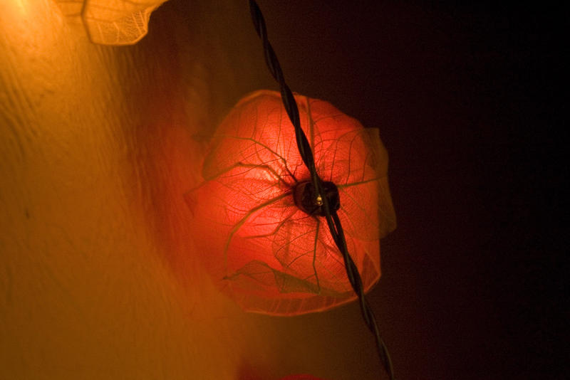 a bright colourful fairy light
