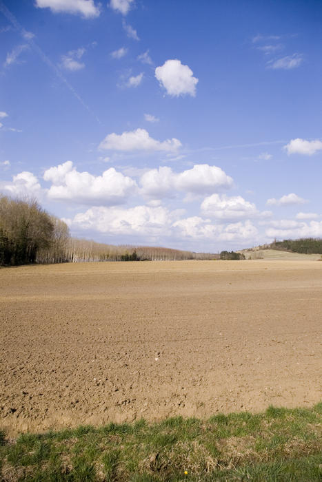 fram fields in rural france