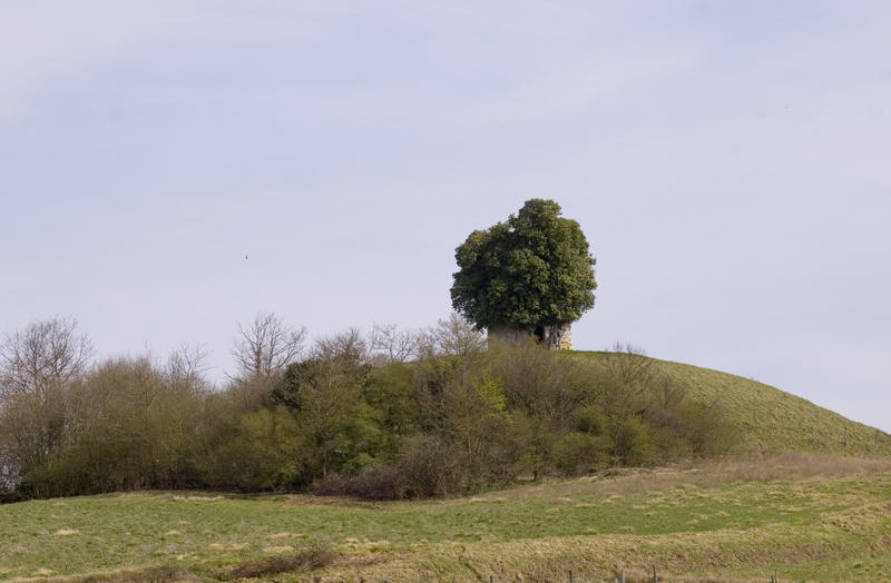 an overgrown architectural folly in the french countryside