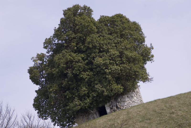 an overgrown architectural folly in the french countryside