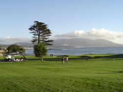 841-golf_course_02130.JPG