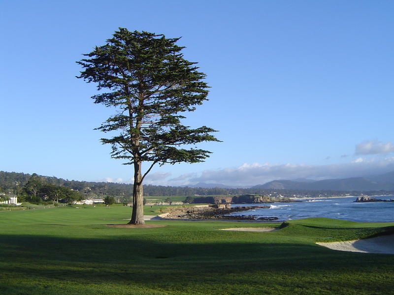 a picturesque golf course on the coast