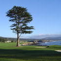 842-golf_course_02132.JPG