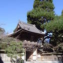 990-japanese_tea_gardens02179.JPG