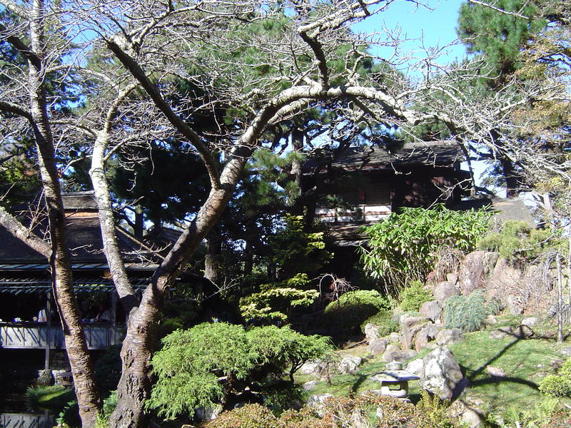 japanese tea gardens in the golden gate park, san francisco