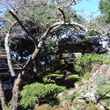 991-japanese_tea_gardens02180.JPG