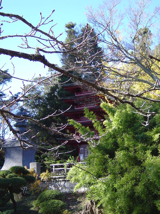 japanese tea gardens in the golden gate park, san francisco