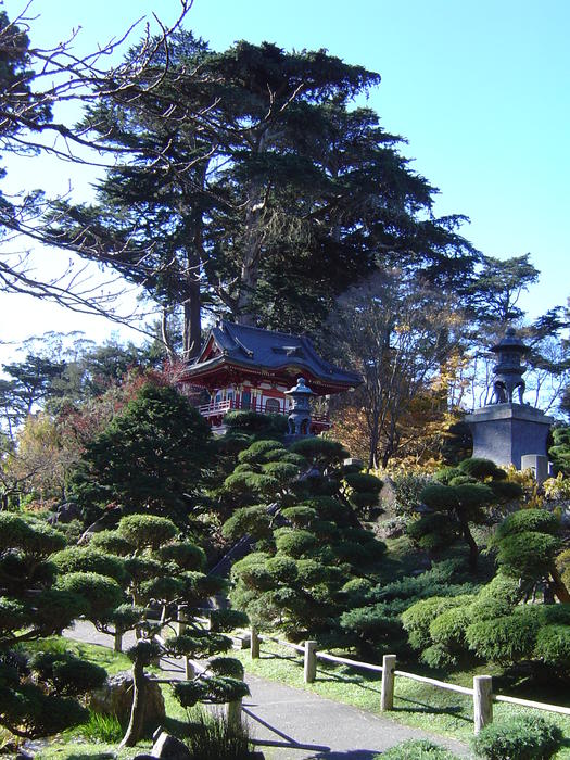 gate to the japanese tea gardens in the golden gate park, san francisco