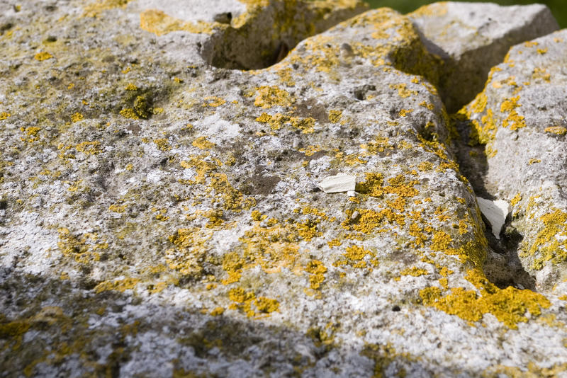 a weathered stone covered in colourful yellow lichen