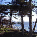 918-monterey_coast_02116.JPG