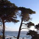 920-monterey_coast_02120.JPG