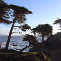 922-monterey_coast_02127.JPG