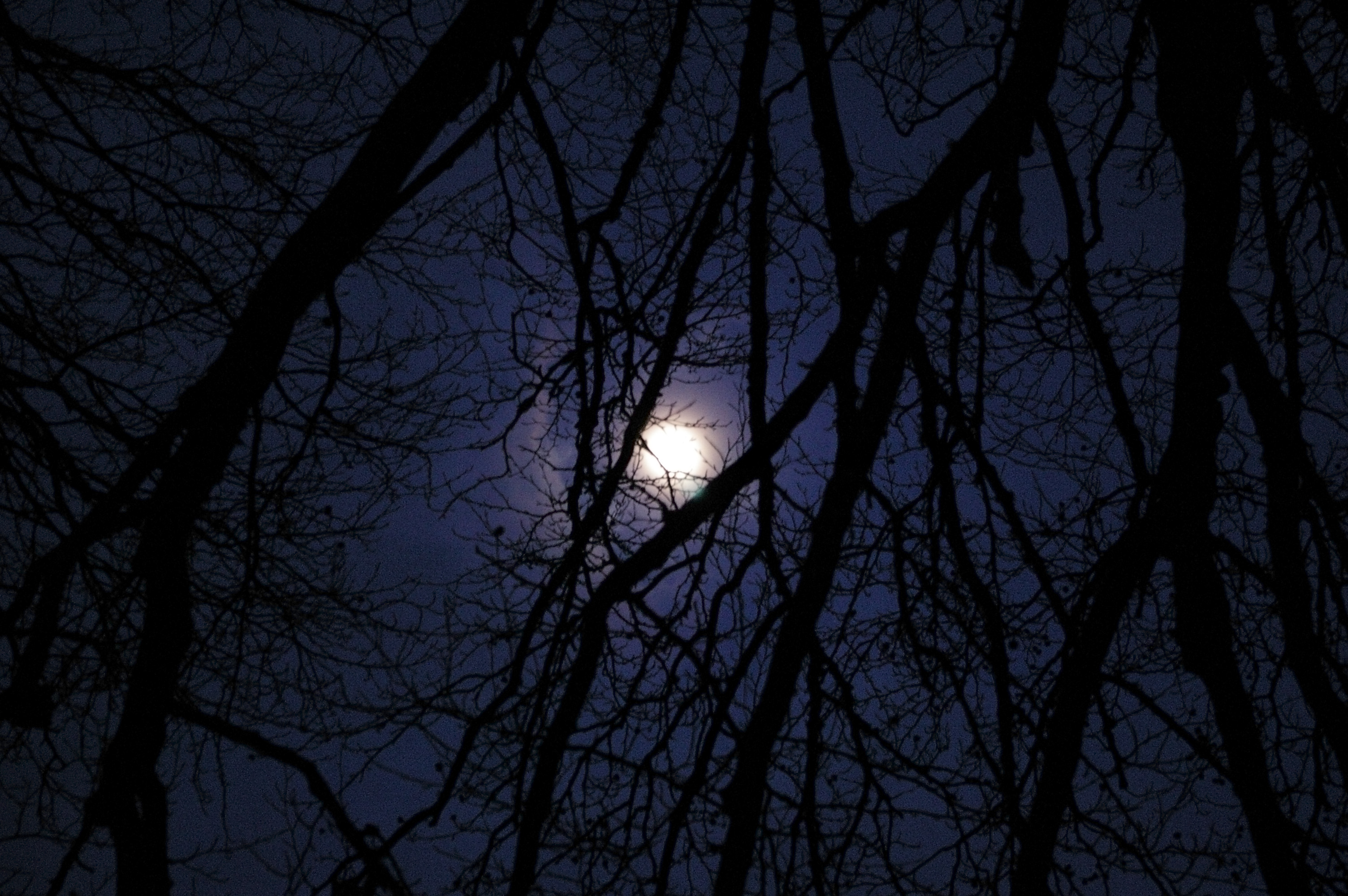 Free Stock Photo 833-moon light | freeimageslive