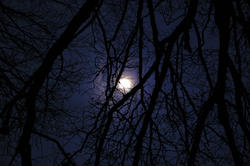 833-moon light
