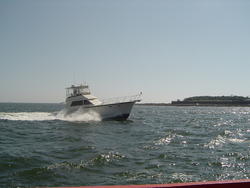 729-motor_yacht_294.jpg