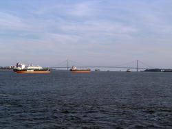 580-new_york_cargo01239.jpg