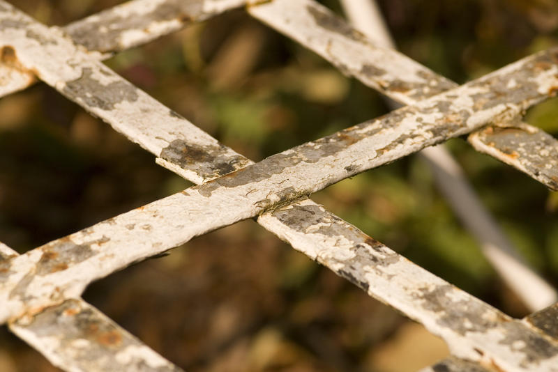 an old garden plant climber trellis with flaking paint