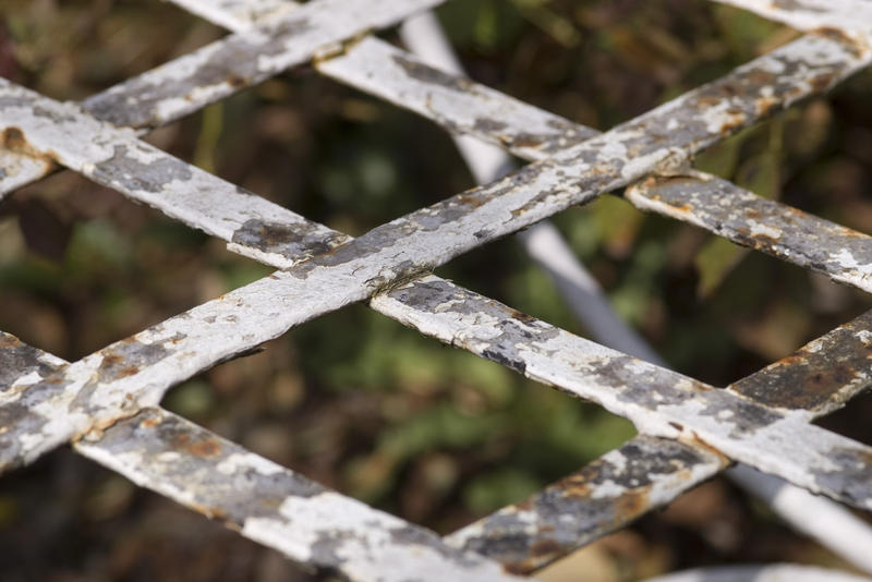 an old garden plant climber trellis with flaking paint