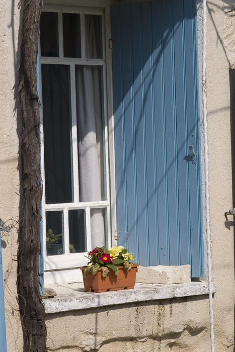 a shuttered window and a small window box with flowers