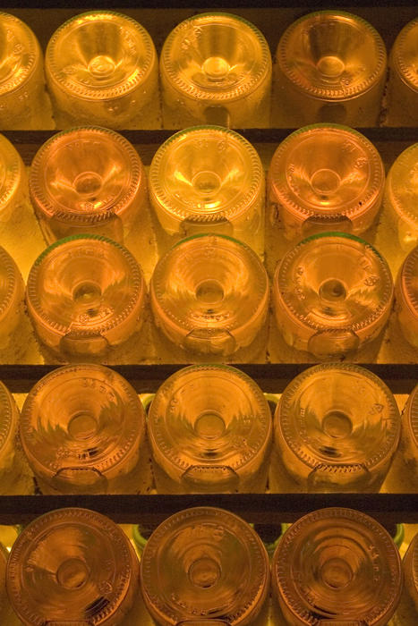 wine cellar, rows of white wine bottles