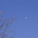 1144-winter_moon_P1583.jpg