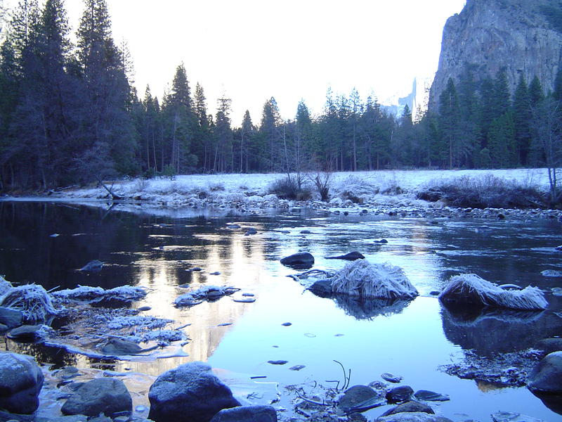 a frosty winter scene in yosemite national park