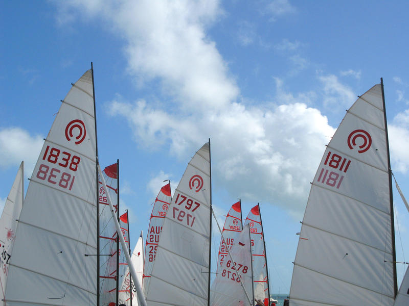 yacht sails at a sailing regatta