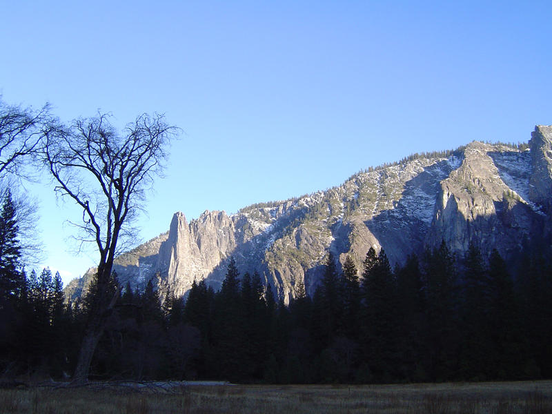 a frosty winter morning in yosemite national park, california, USA