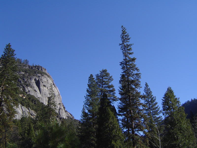 amazing mountain scenery of the yosemite national park