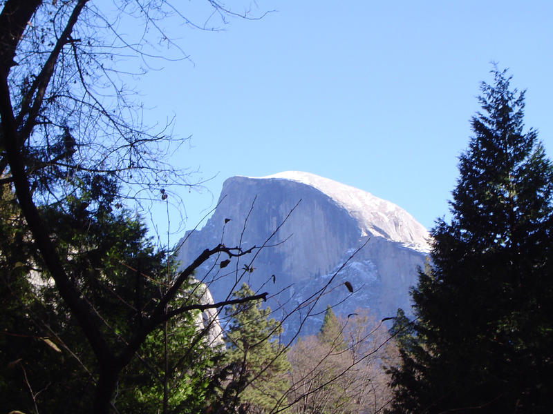 amazing mountain scenery of the yosemite national park