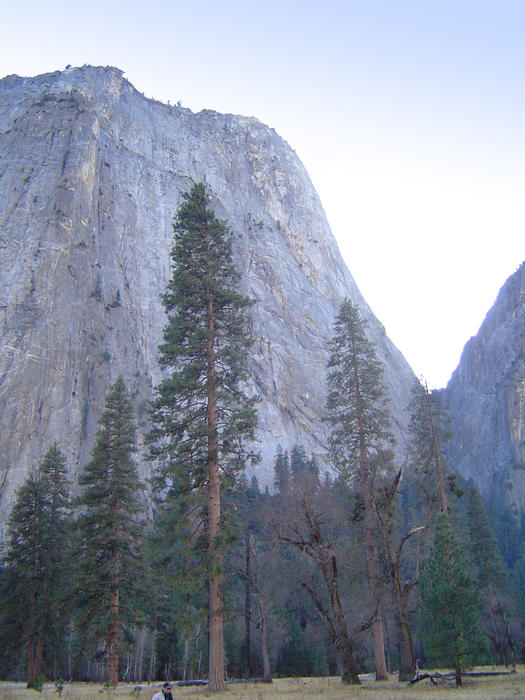 amazing mountain scenery of the yosemite national park