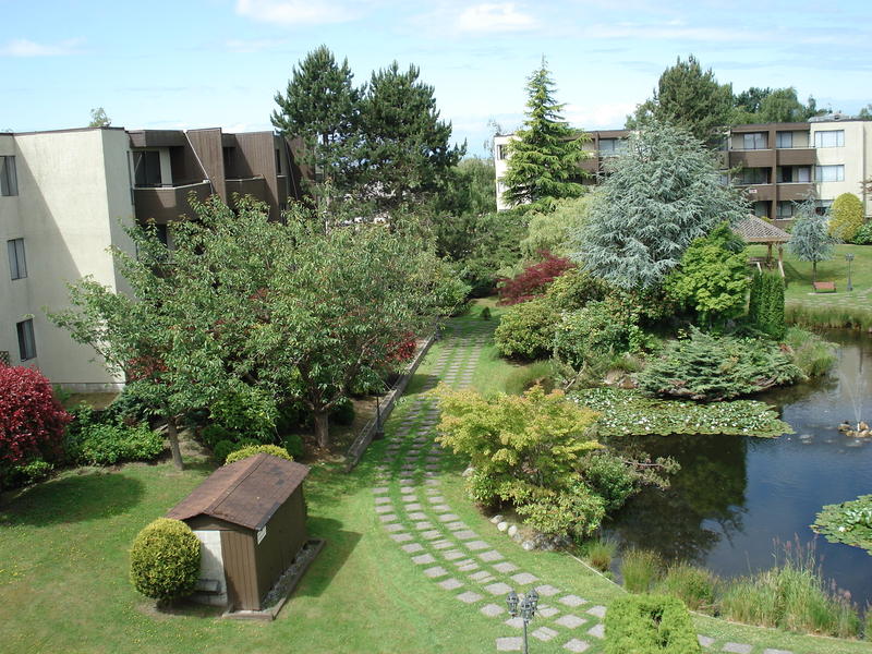 Left side of Pool Garden-Richmond, BC
1632 x 1224 ps - 861 kb - jpg