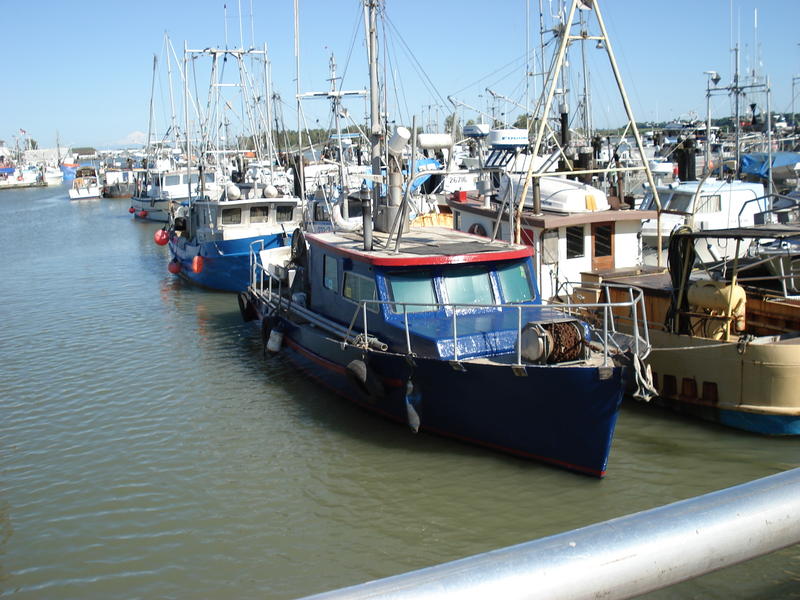 Fishing Boats moored at Steveston, BC - 1632 x 1224 - 828kb