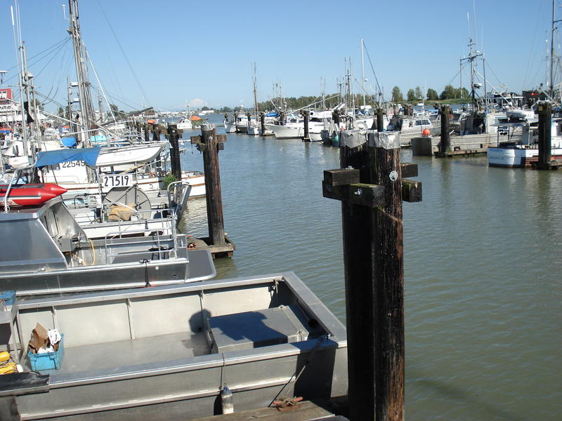 Inside Moorage Lane, Steveston, BC - 1632 x 1224 - 898kb