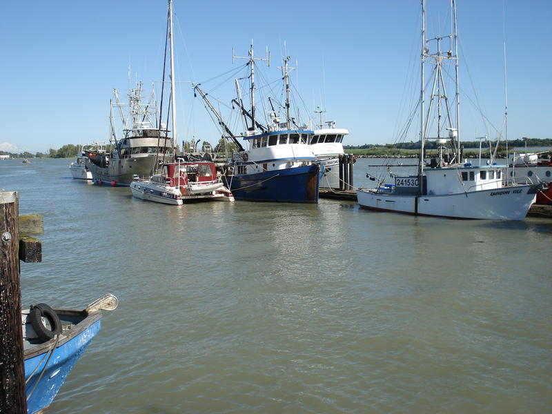 Outside Moorage - Steveston, BC (Richmond) 1632 x 1224 - 912kb