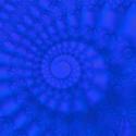 1571-Ammonite Fractal