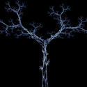 1577-lightning tree