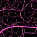 1597-pink wavy lines