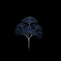 1608-mathematical tree