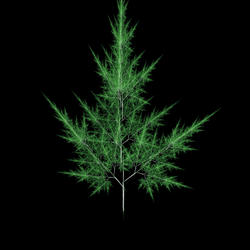 1651-fractal tree