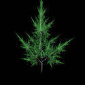 1651-fractal tree