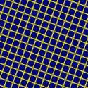 1658-blue and yellow mesh